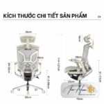 Ghế GCT-W02 Mang Đến Tư Thế Ngồi Khoa Học